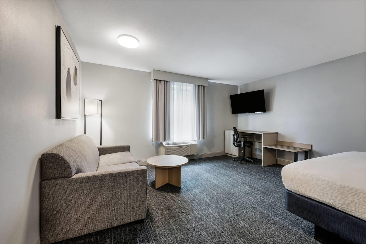 Chambre Affaires, 1 très grand lit, non-fumeur