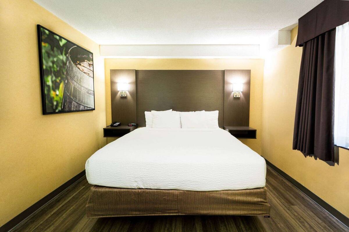 Une chambre d’hôtel avec un grand lit, deux tables de chevet, une tête de lit et une œuvre d’art accrochée au mur.