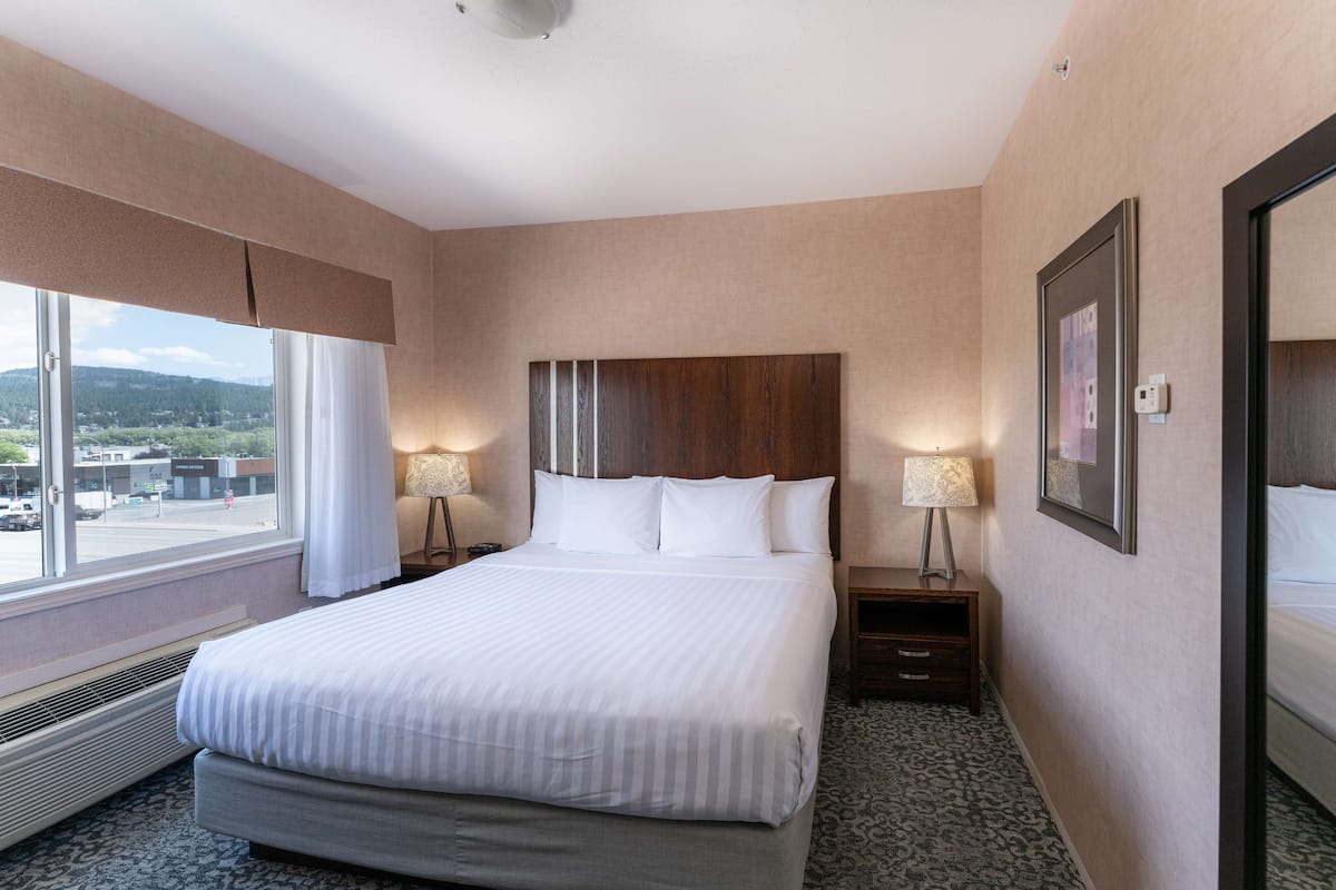 Executive Suite, 1 King Bed, Non Smoking, Kitchen (with Sofabed, Full Kitchen) | 1 bedroom, desk, iron/ironing board, cribs/infant beds