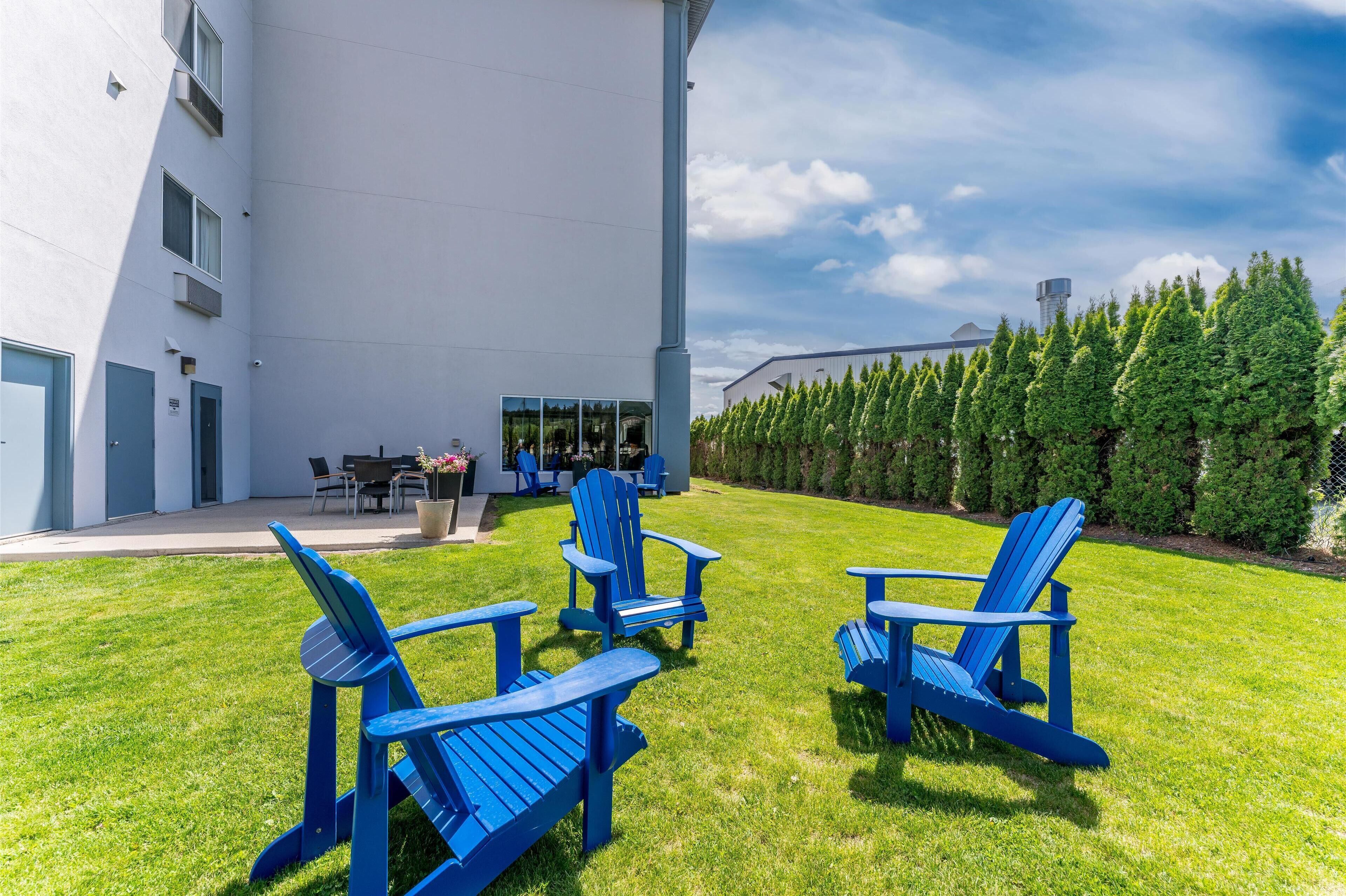 バーベキュー / ピクニック エリア