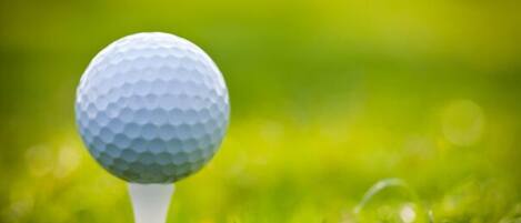 A golf ball on a tee in a grassy area.