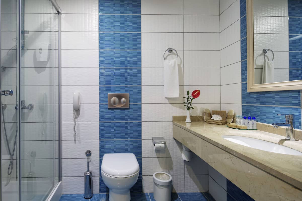 Regadera, amenidades de baño gratuitas, secadora de cabello, pantuflas