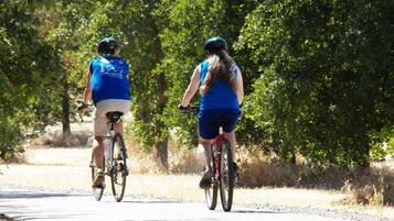 Two cyclists on a paved path surrounded by trees.