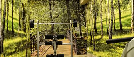A gym with a forest mural, weightlifting equipment, and a bench.