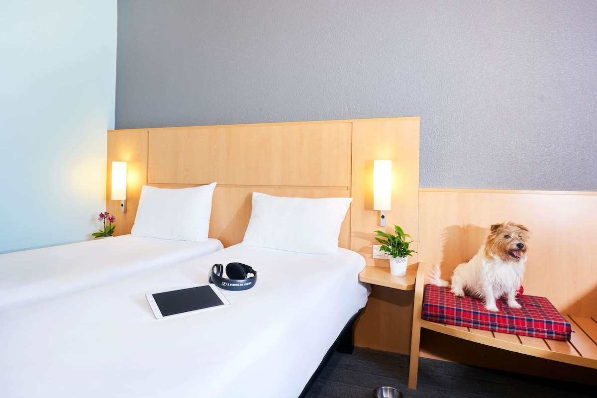 standard room, 2 single beds | in-room safe, desk, soundproofing, iron/ironing board