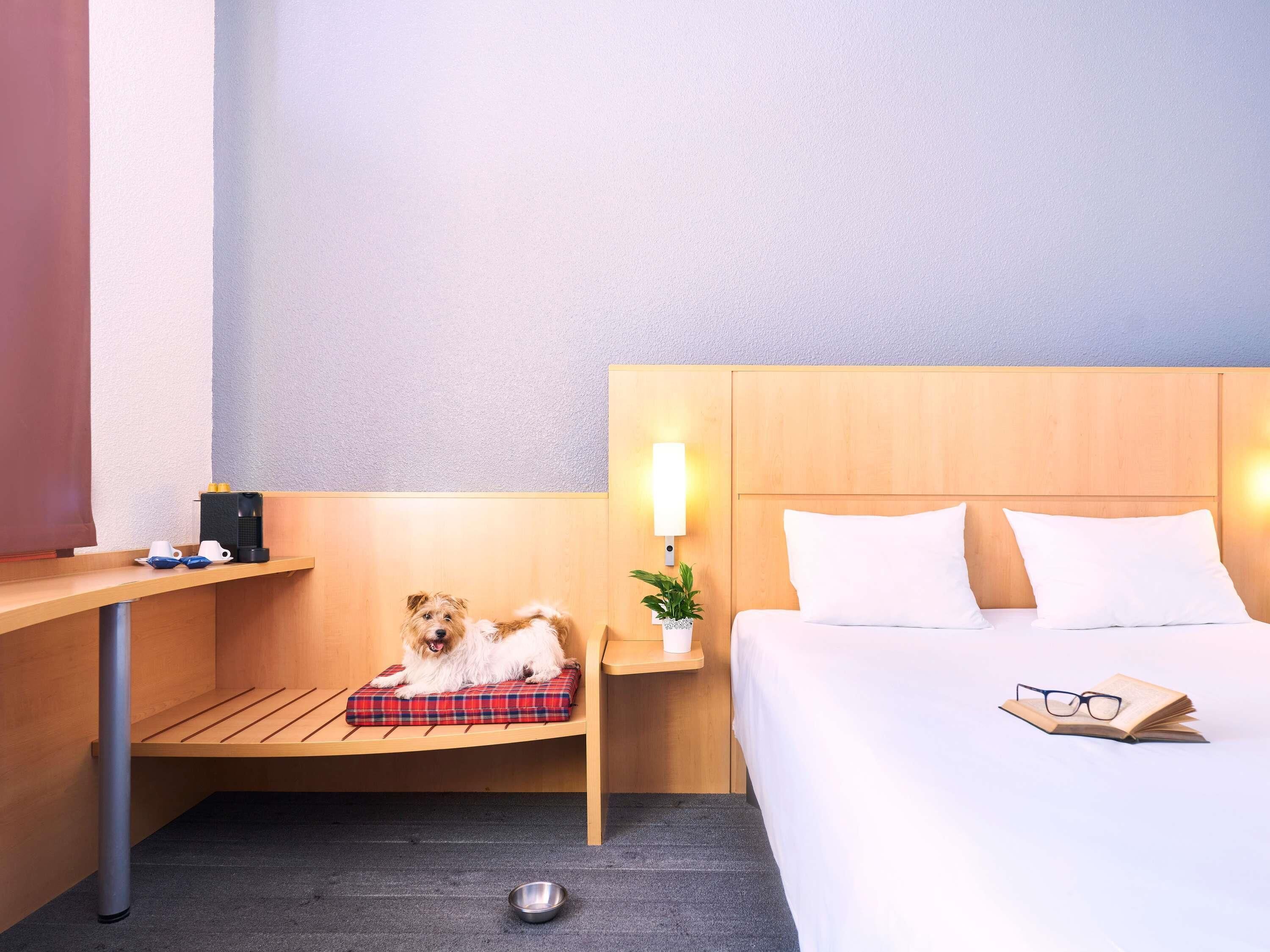 Zimmersafe, Schreibtisch, schallisolierte Zimmer, Bügeleisen/Bügelbrett