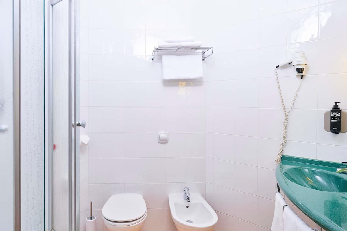 premium double room, 1 double bed | bathroom | shower, eco-friendly toiletries, hair dryer, bidet