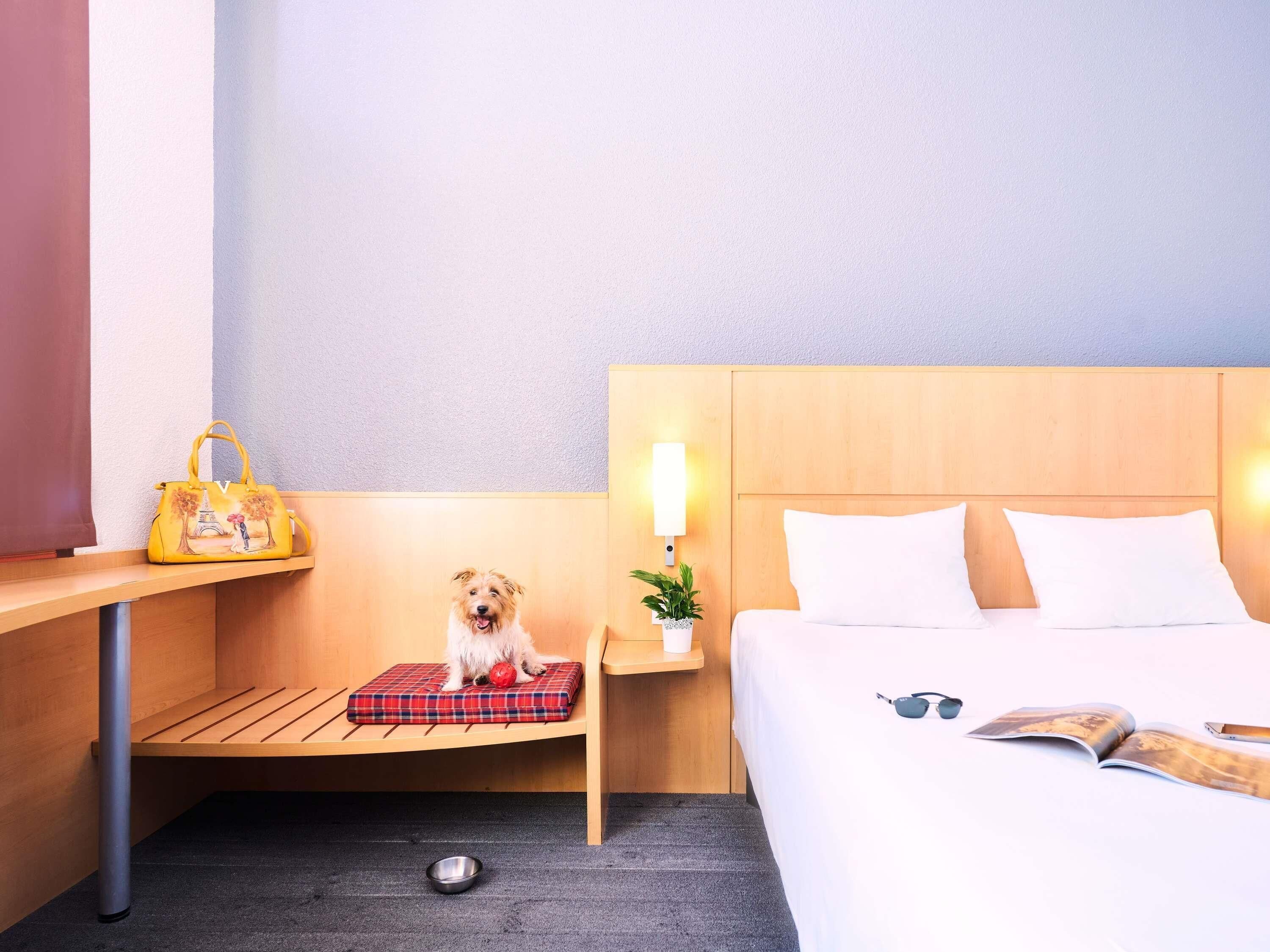 in-room safe, desk, soundproofing, iron/ironing board