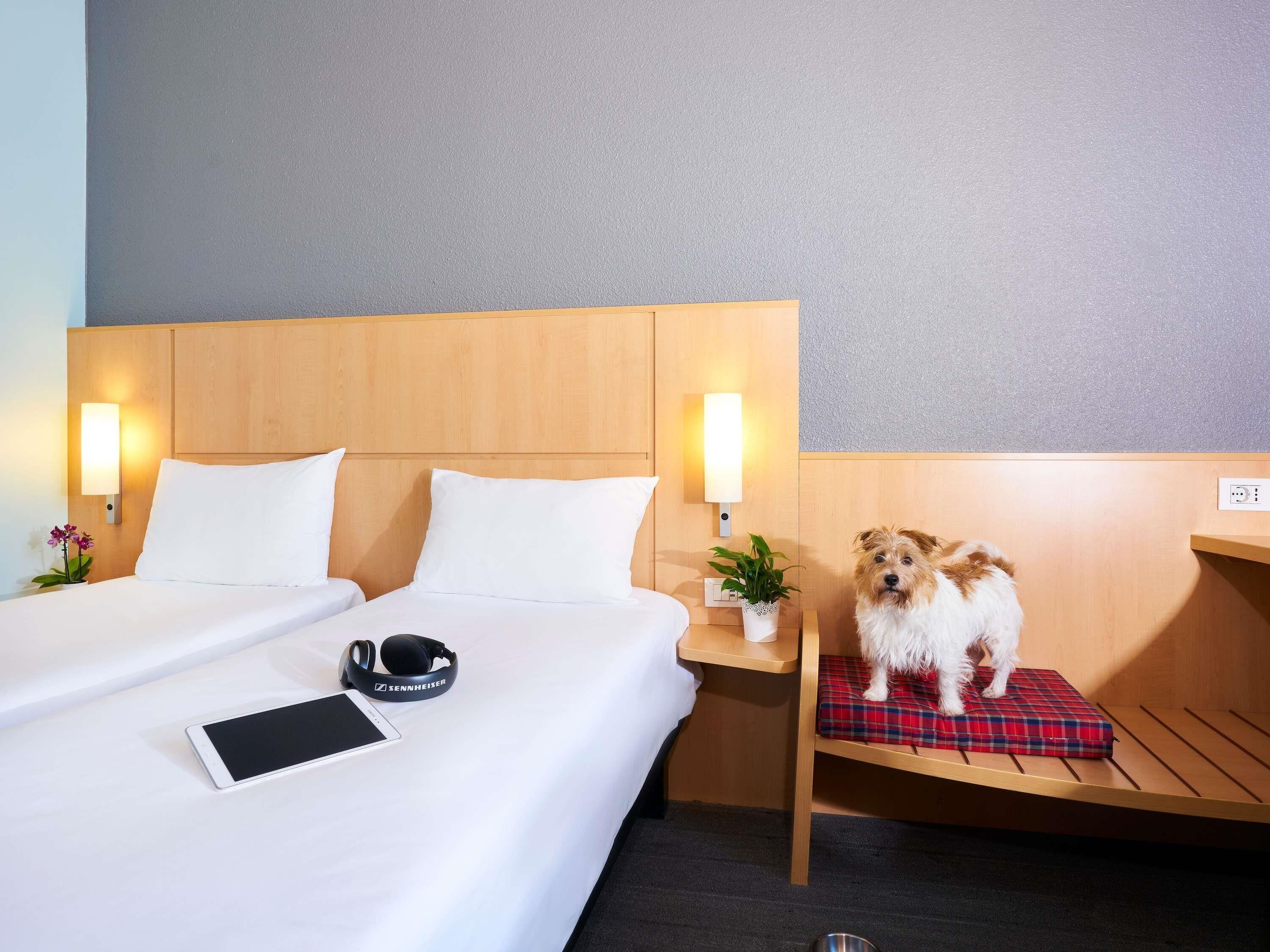 standard room, 2 single beds | in-room safe, desk, soundproofing, iron/ironing board