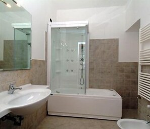 Regadera, secadora de cabello, bidet, toallas 