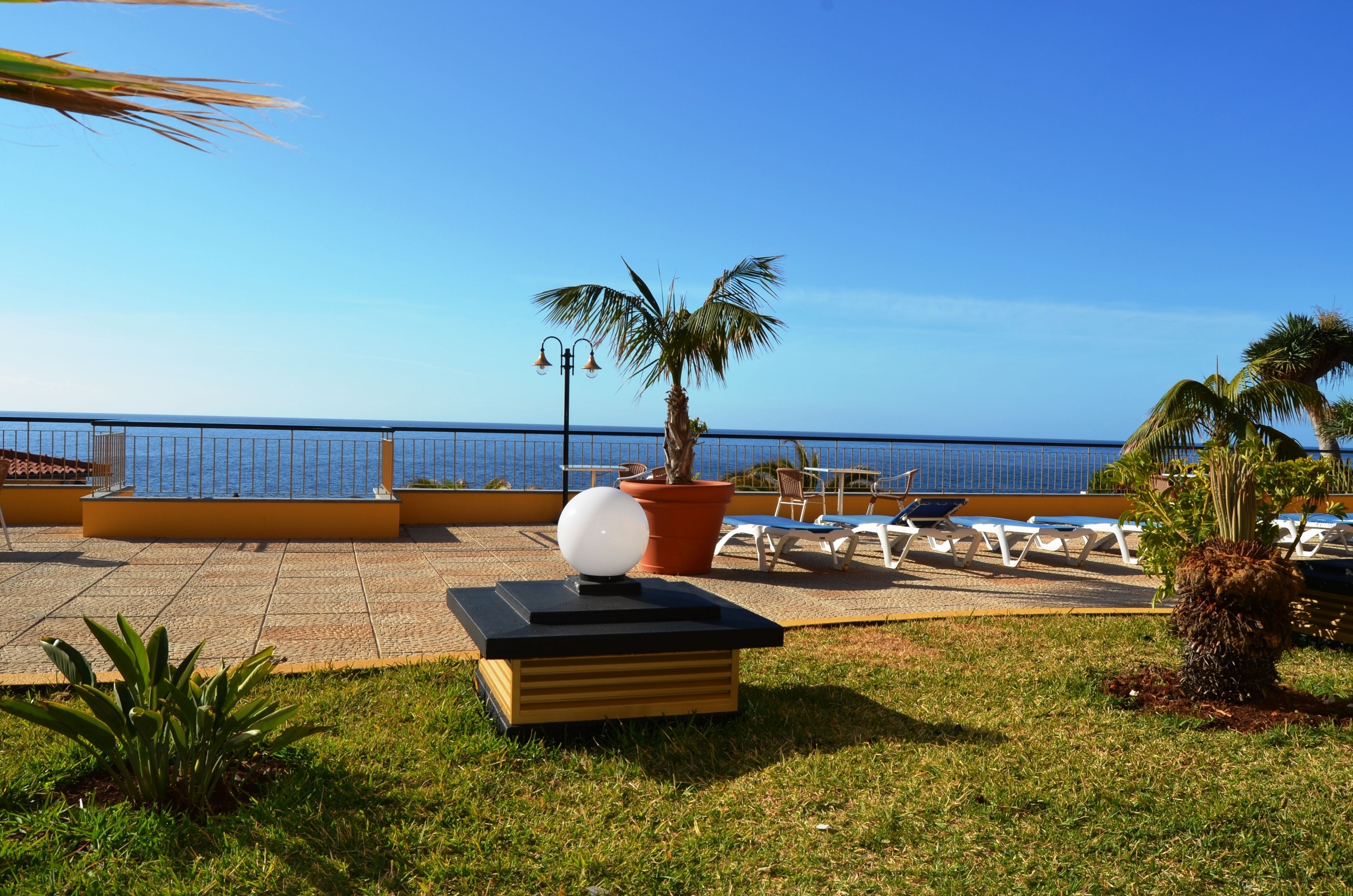 A terrace with a palm tree, lounge chairs, and a view of the sea.