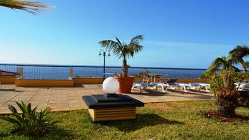 Una terraza con una palmera, sillones de descanso y vistas al mar.