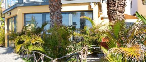 Un edificio moderno con amplios ventanales, un camino de piedra y plantas tropicales.