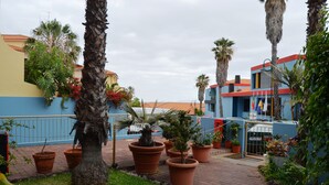 A courtyard with potted plants, palm trees, and buildings with blue and yellow facades. - Cais da Oliveira (Santa Cruz)