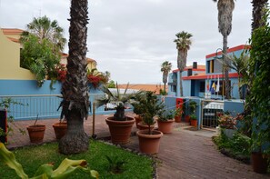 A courtyard with potted plants, palm trees, and buildings with blue and yellow facades. - Cais da Oliveira (Santa Cruz)