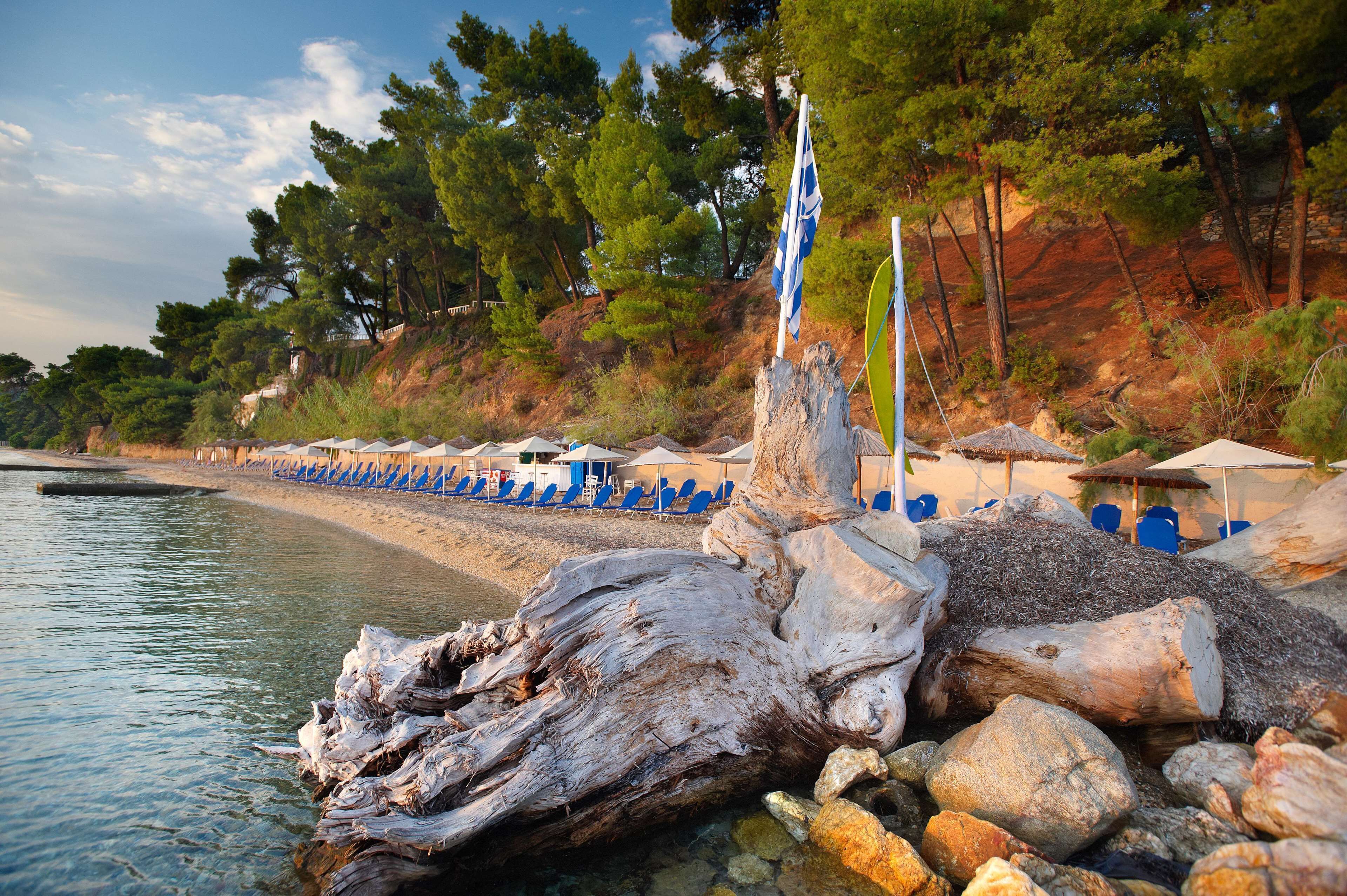 Una playa con una fila de sillas y sombrillas azules, un tronco grande y una bandera.