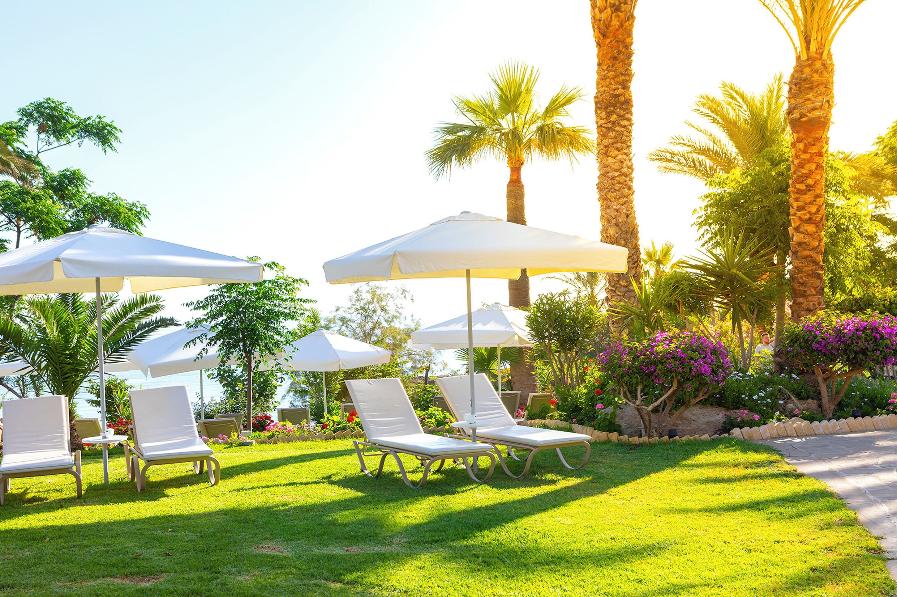 Foto - Crystal Springs Beach Hotel