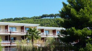 Un hotel de varios pisos con balcones, una palmera y una colina boscosa al fondo.