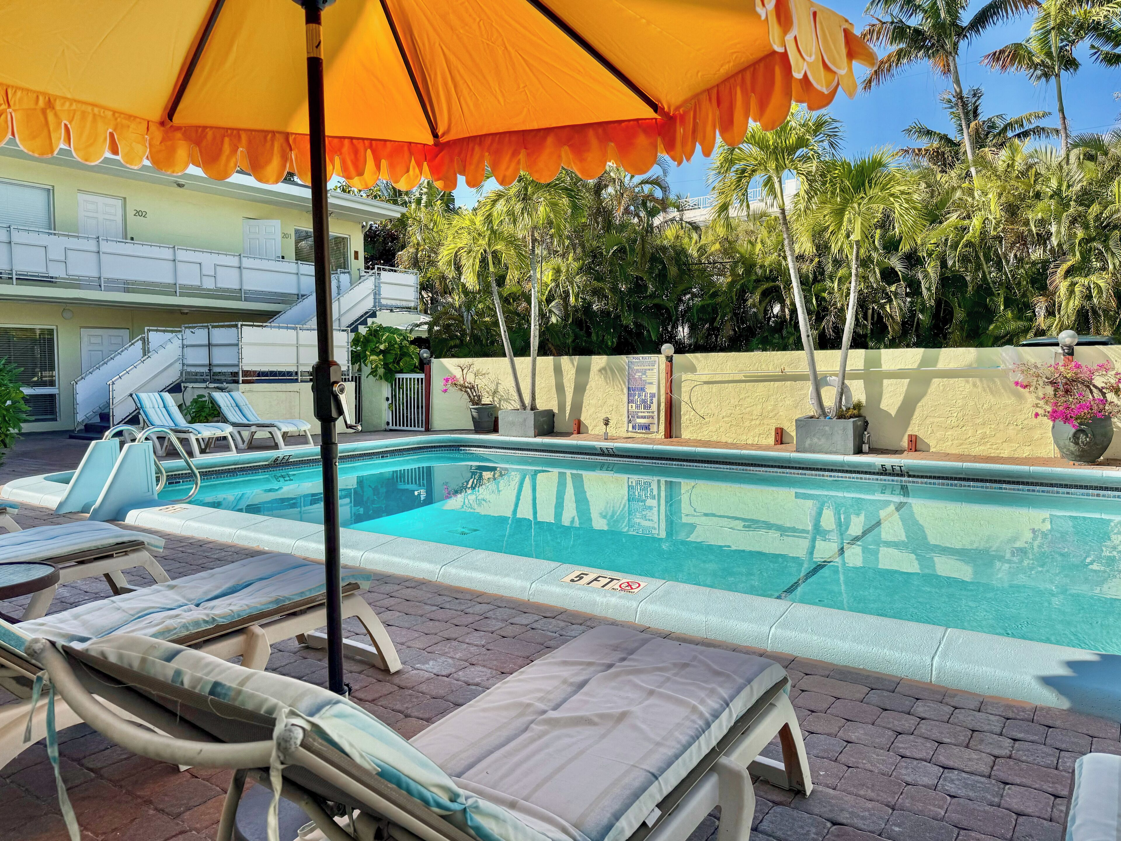 Una piscina al aire libre, sombrillas, sillones reclinables de piscina