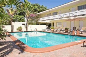 Una piscina al aire libre, sombrillas, sillones reclinables de piscina