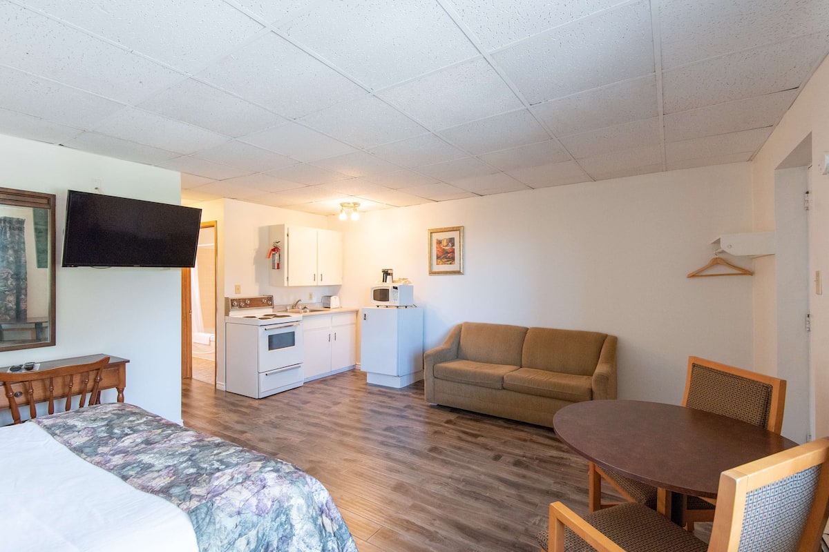 A compact room with a bed, a sofa, a dining table, a TV, a kitchenette, and a framed picture on the wall.