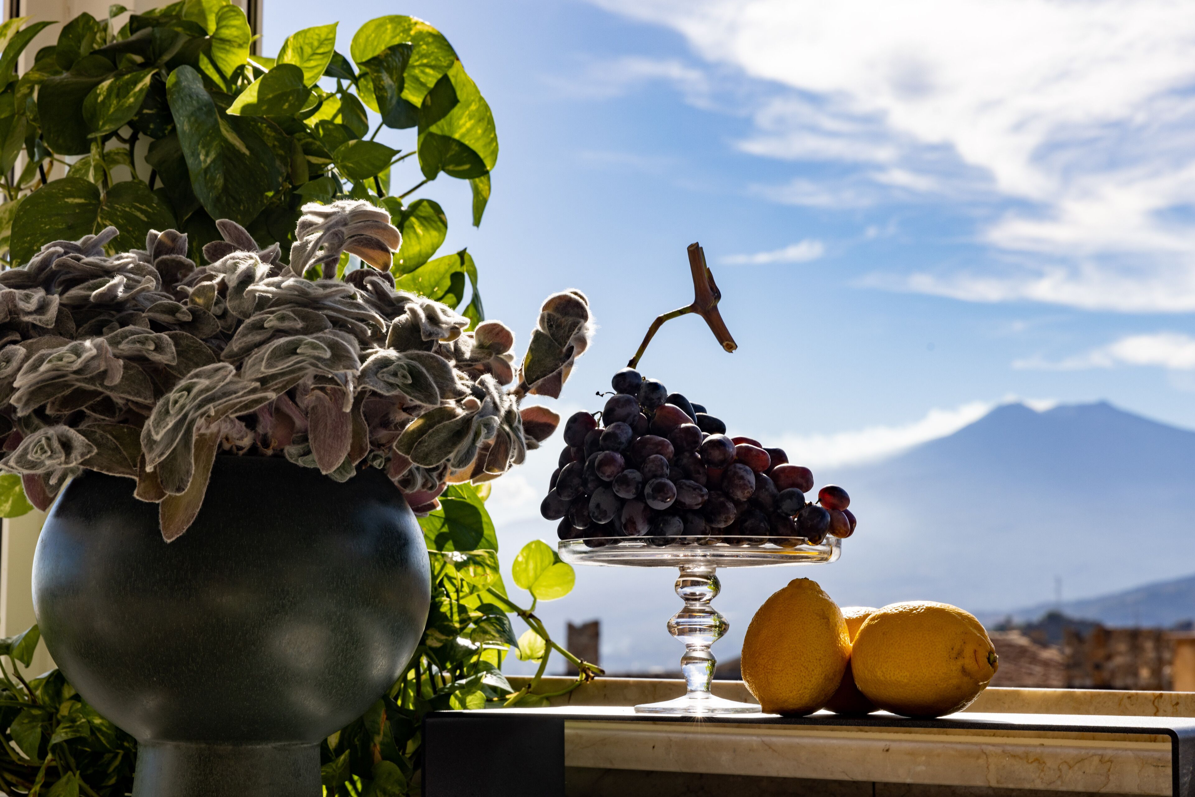 Photo - Taodomus Boutique Hotel