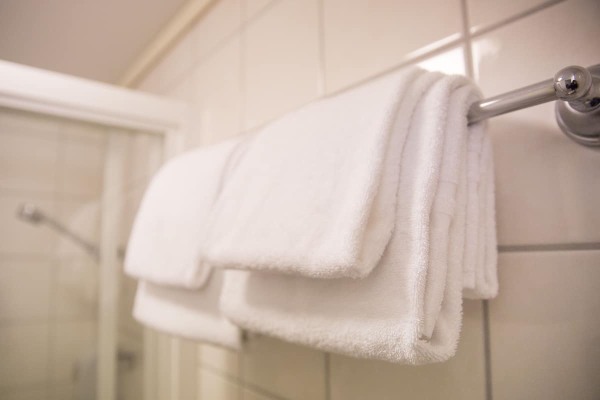 hair dryer, towels, toilet paper