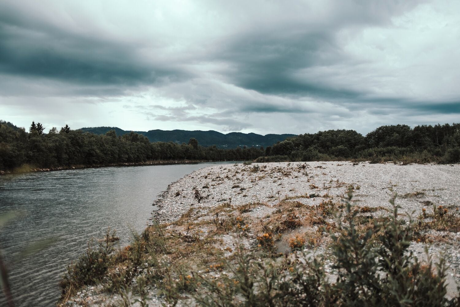 A riverbank with a rocky shore and sparse vegetation.