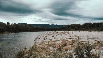 A riverbank with a rocky shore and sparse vegetation.