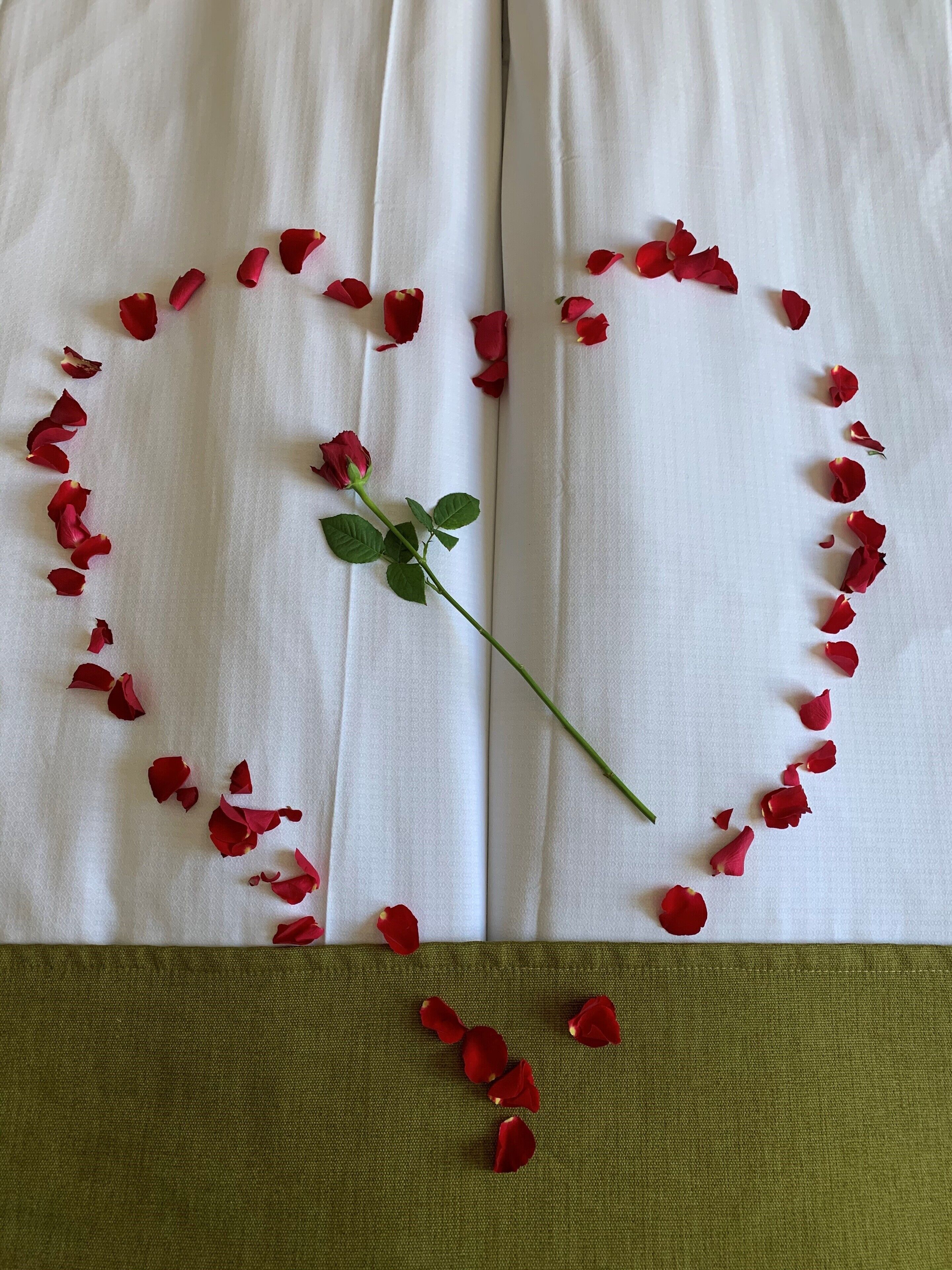 En vit gardin med ett hjärtformat mönster som är gjort av rosenblad och en enskild rosenstjälk.
