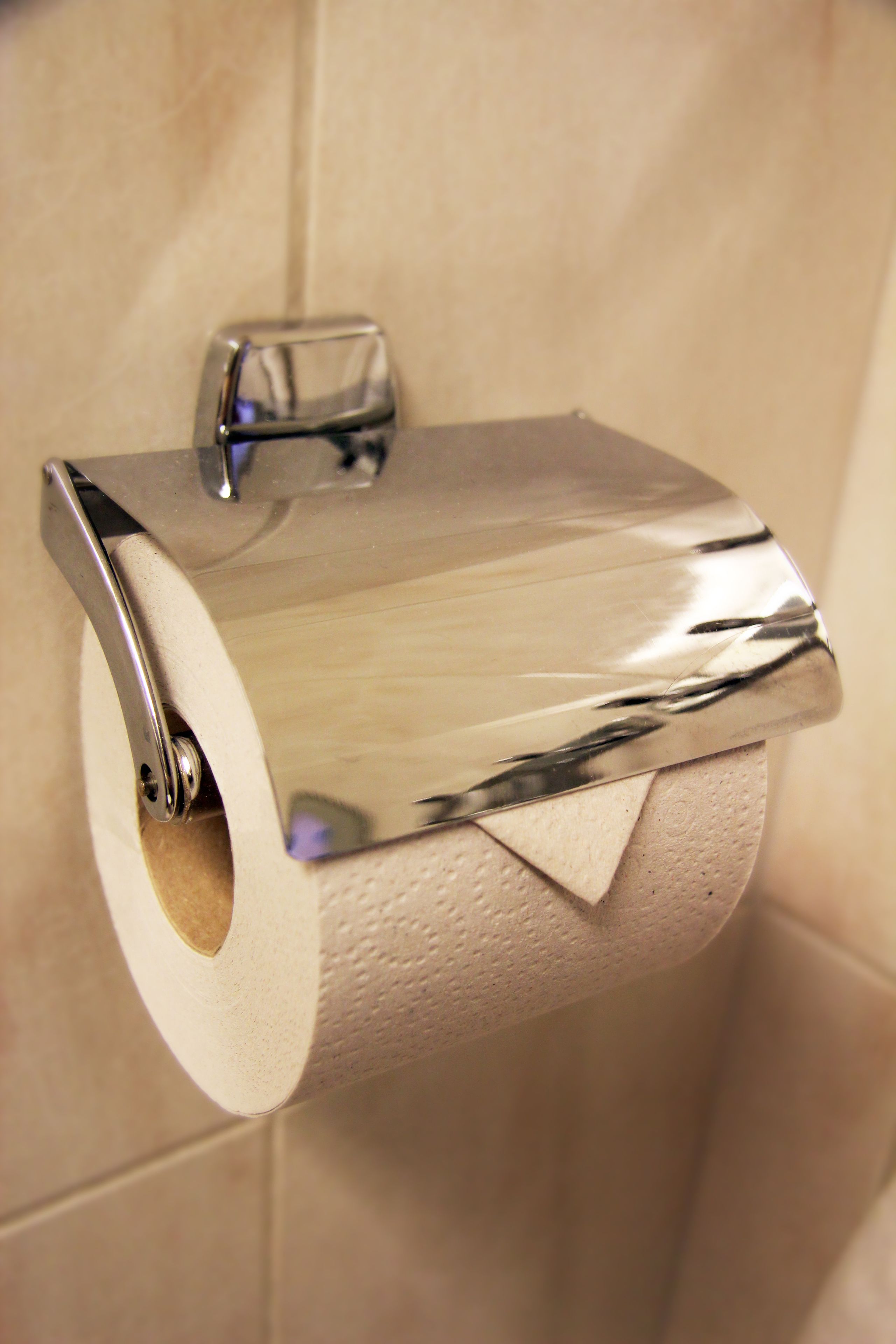A toilet paper holder with a metallic finish.