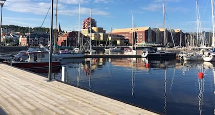 Sure Hotel by Best Western Focus