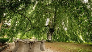 A wicker table and chairs set under a large tree in a park. - Kronen Gaard Hotel (Sandnes)