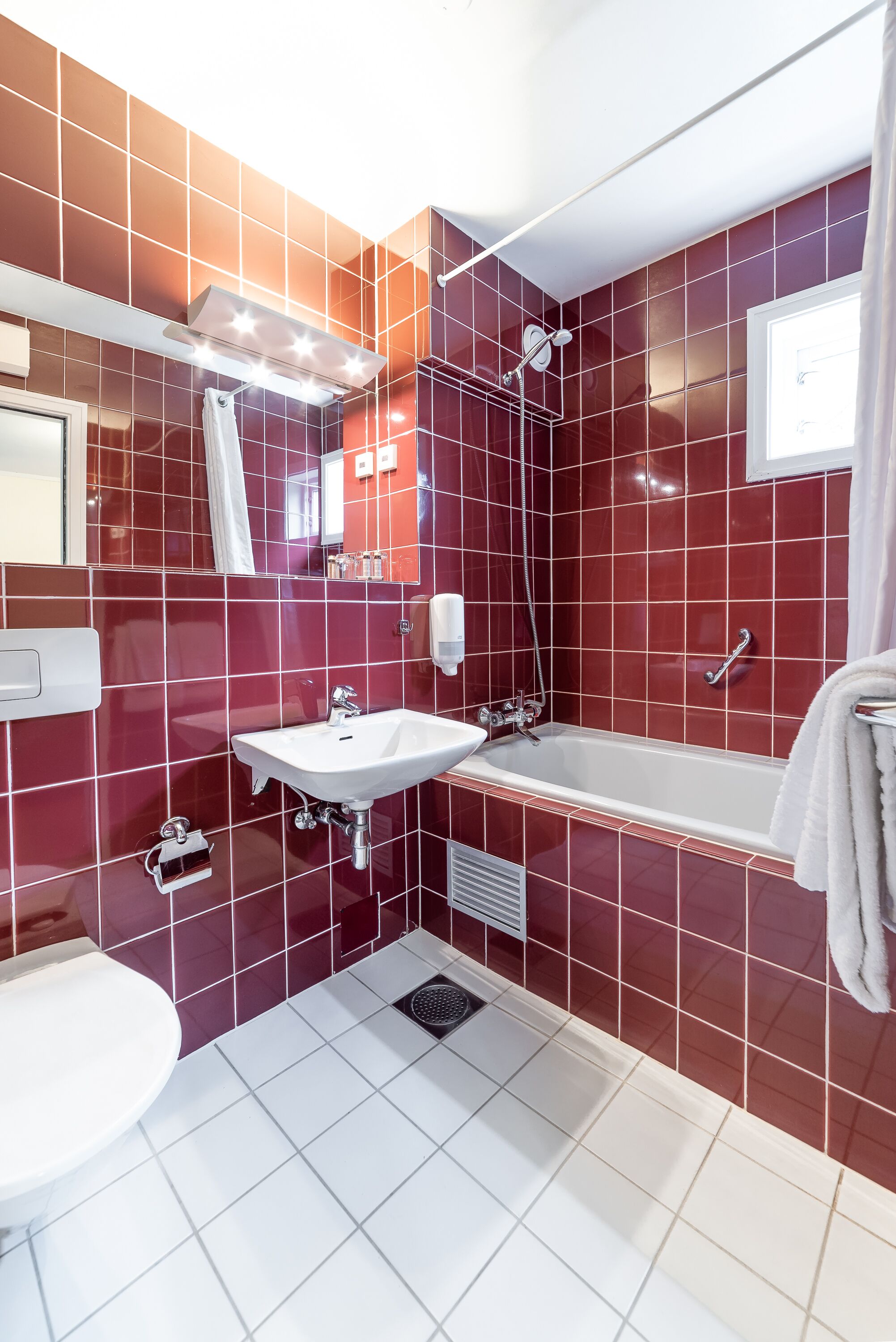 free toiletries, hair dryer, towels