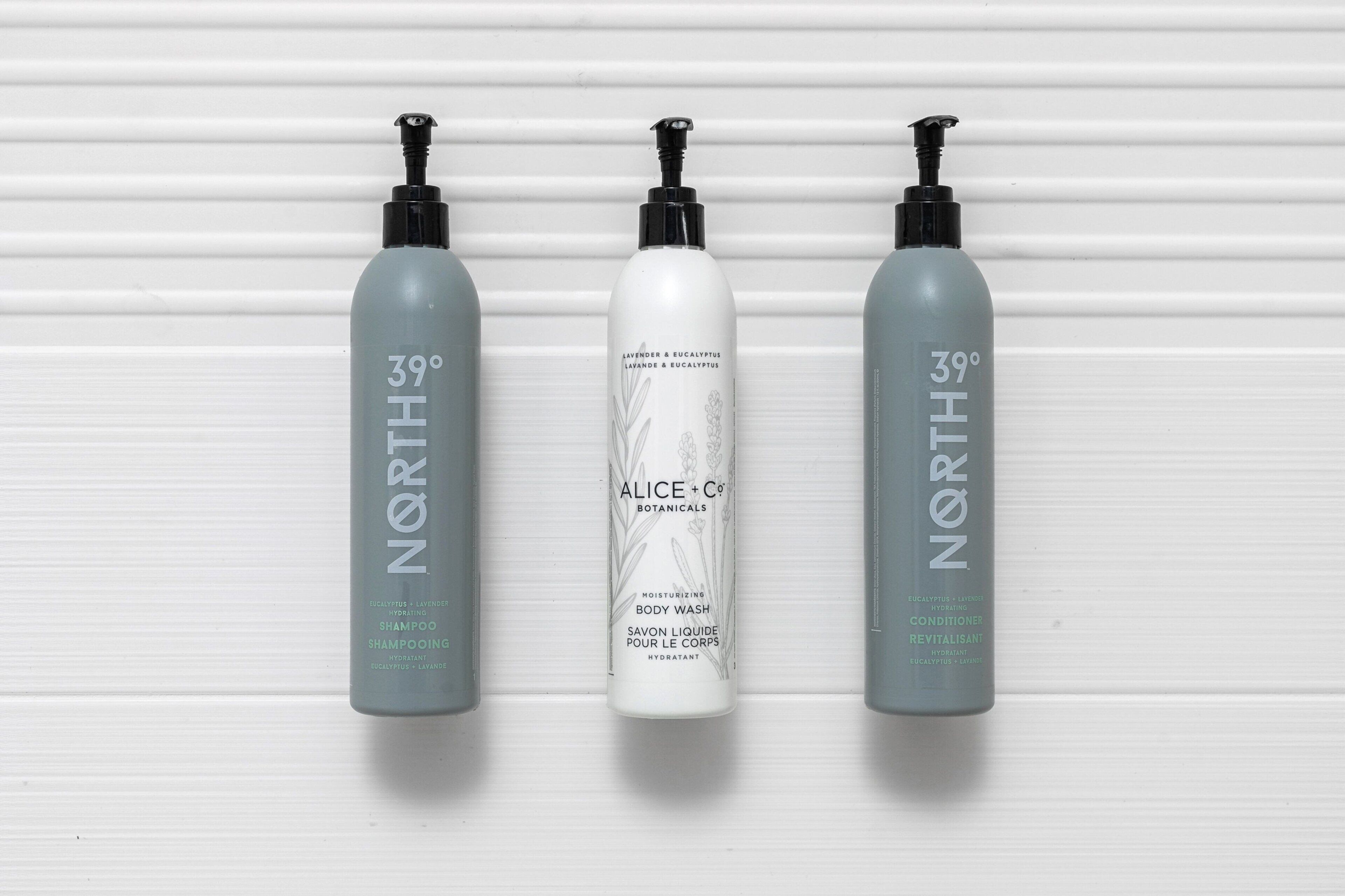 combined shower/bathtub, hair dryer, towels, soap