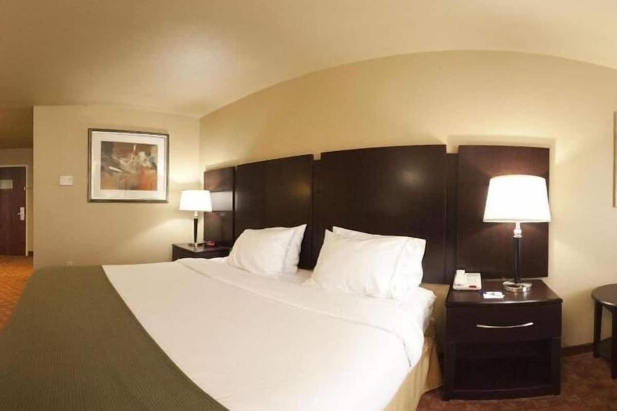 A hotel room with a large bed, two bedside tables with lamps, a framed picture on the wall, and a carpeted floor.