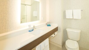 A bathroom with a white sink, a mirror, a toilet, and a towel rack. - Holiday Inn Express Hotel & Suites Grand Blanc by IHG (Grand Blanc)