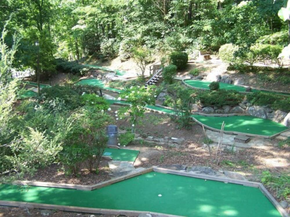 Fontana Village Resort & Marina by null