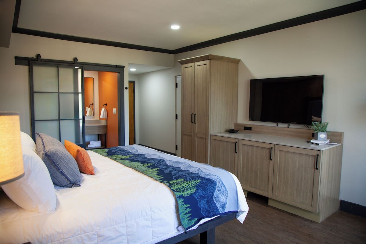 A bedroom with a bed, a TV, wooden cabinets, and a sliding door.
