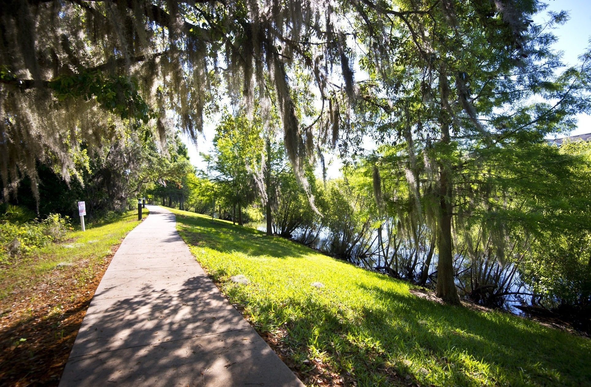 Un sendero que atraviesa un parque con árboles y una masa de agua.