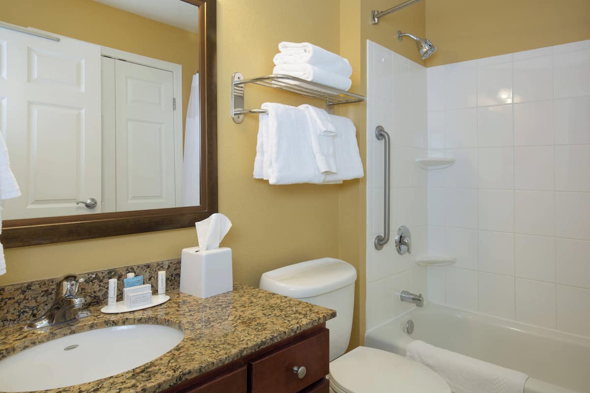 combined shower/bathtub, free toiletries, hair dryer, towels