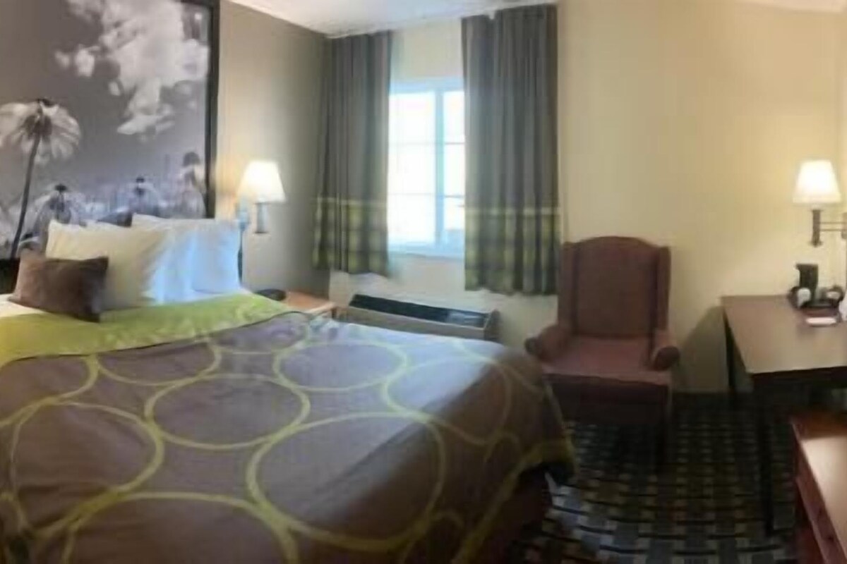 A hotel room with a bed, a chair, a desk, and a TV.