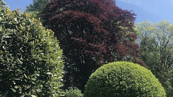 Jardín
