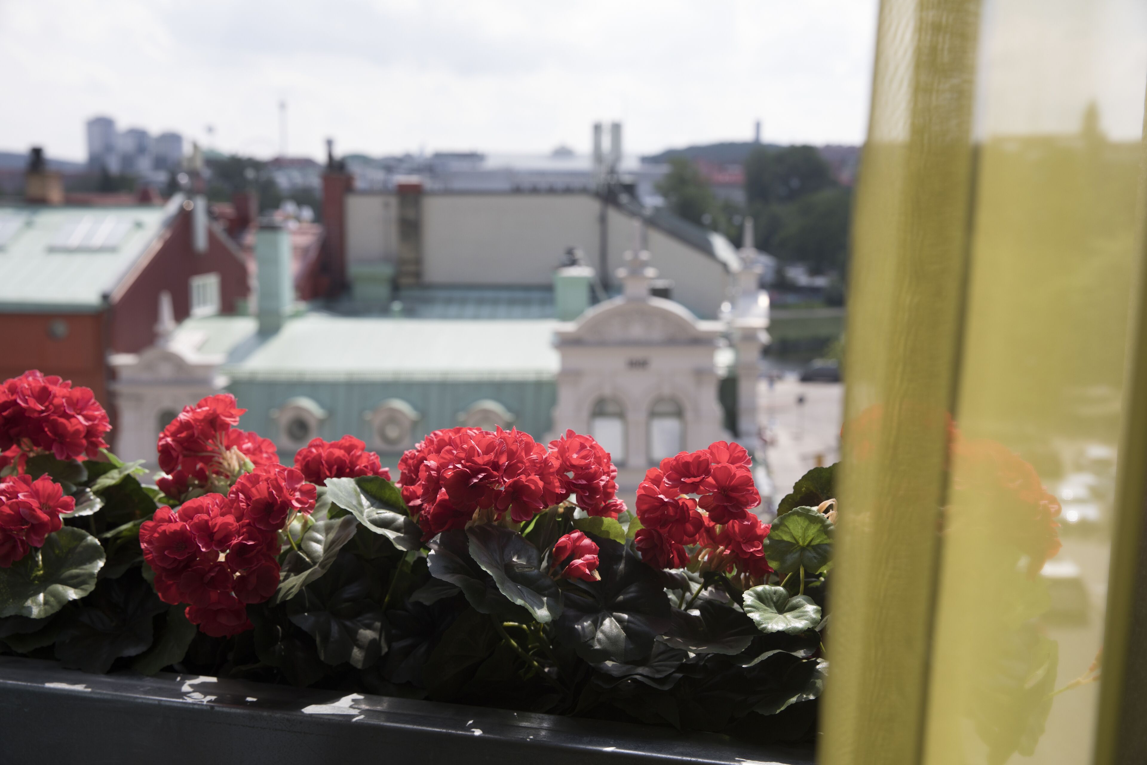 إطلالة الغرفة