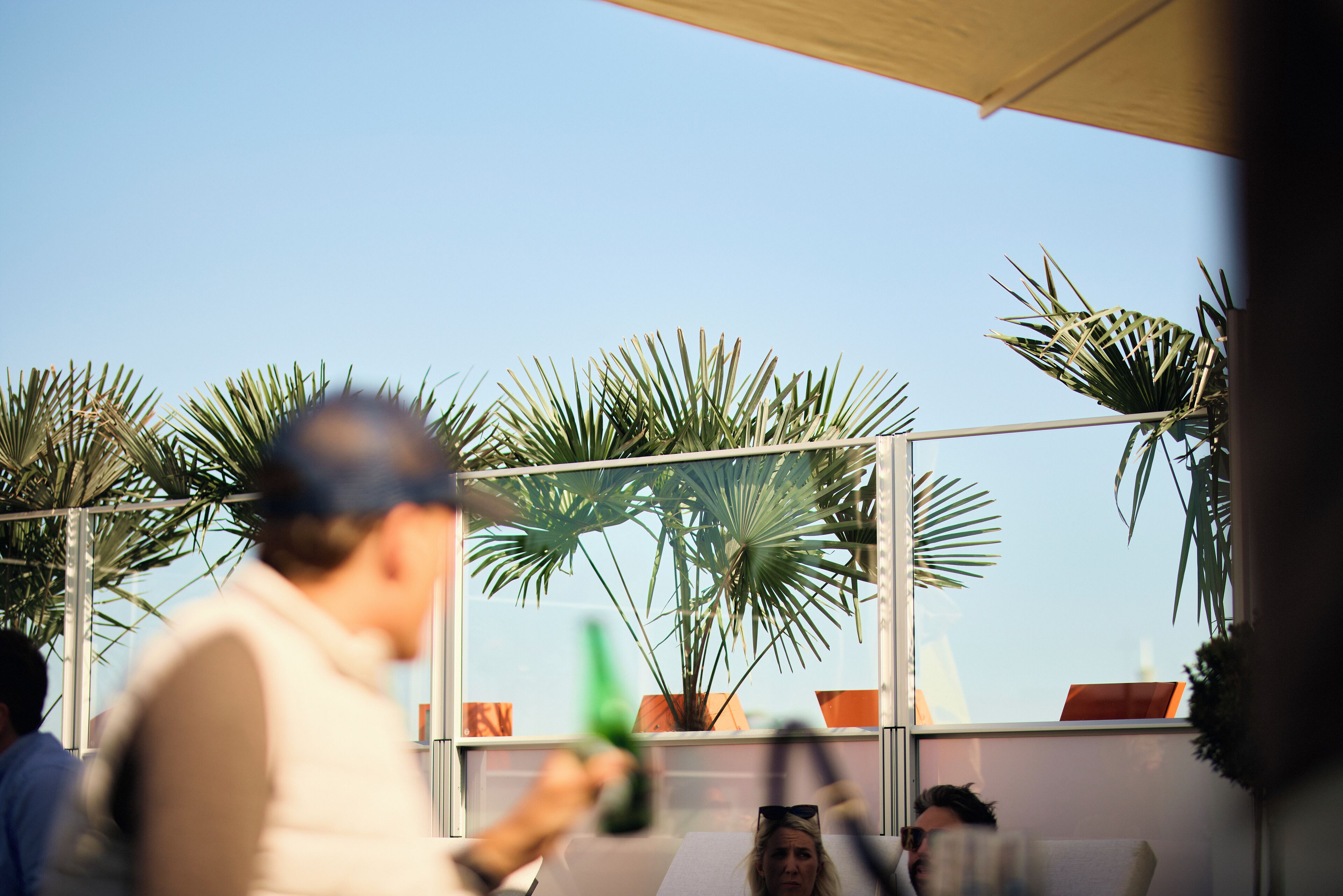 A terrace with potted plants and a clear sky.