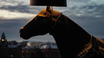 Una estatua de un caballo con una lámpara en la cabeza, frente a un paisaje urbano al atardecer.