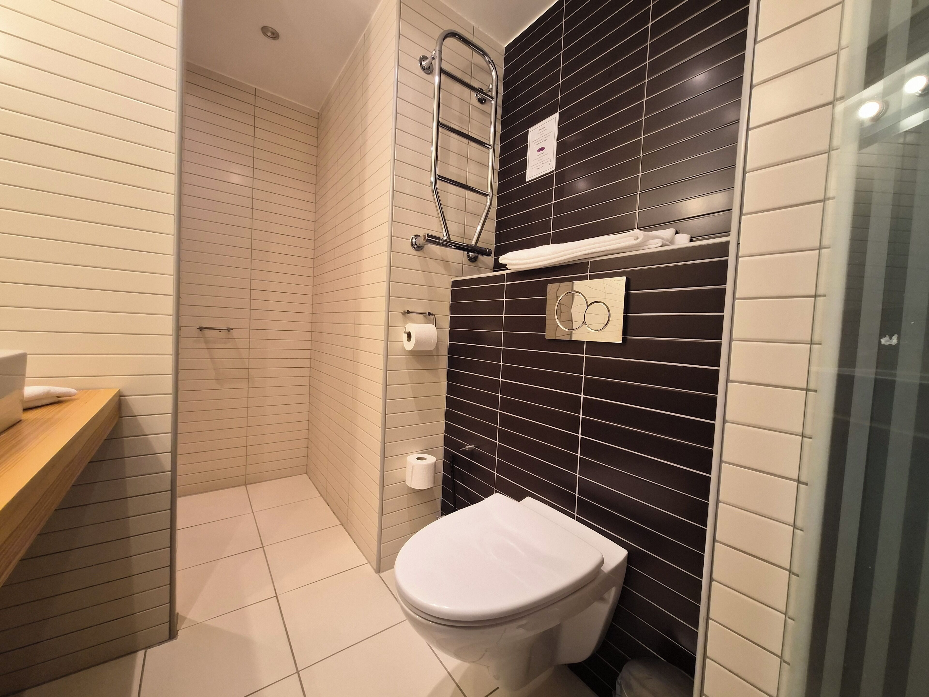 Business-dobbeltværelse (Lux) | Badeværelse | Bruser, gratis toiletartikler, hårtørrer, håndklæder
