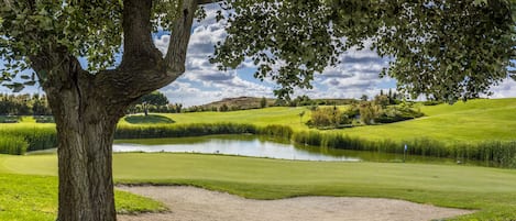 Un campo de golf con un árbol grande, un estanque y colinas verdes ondulantes.
