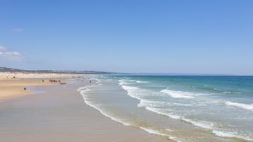 Playa en los alrededores, traslado desde/hacia la playa y camastros