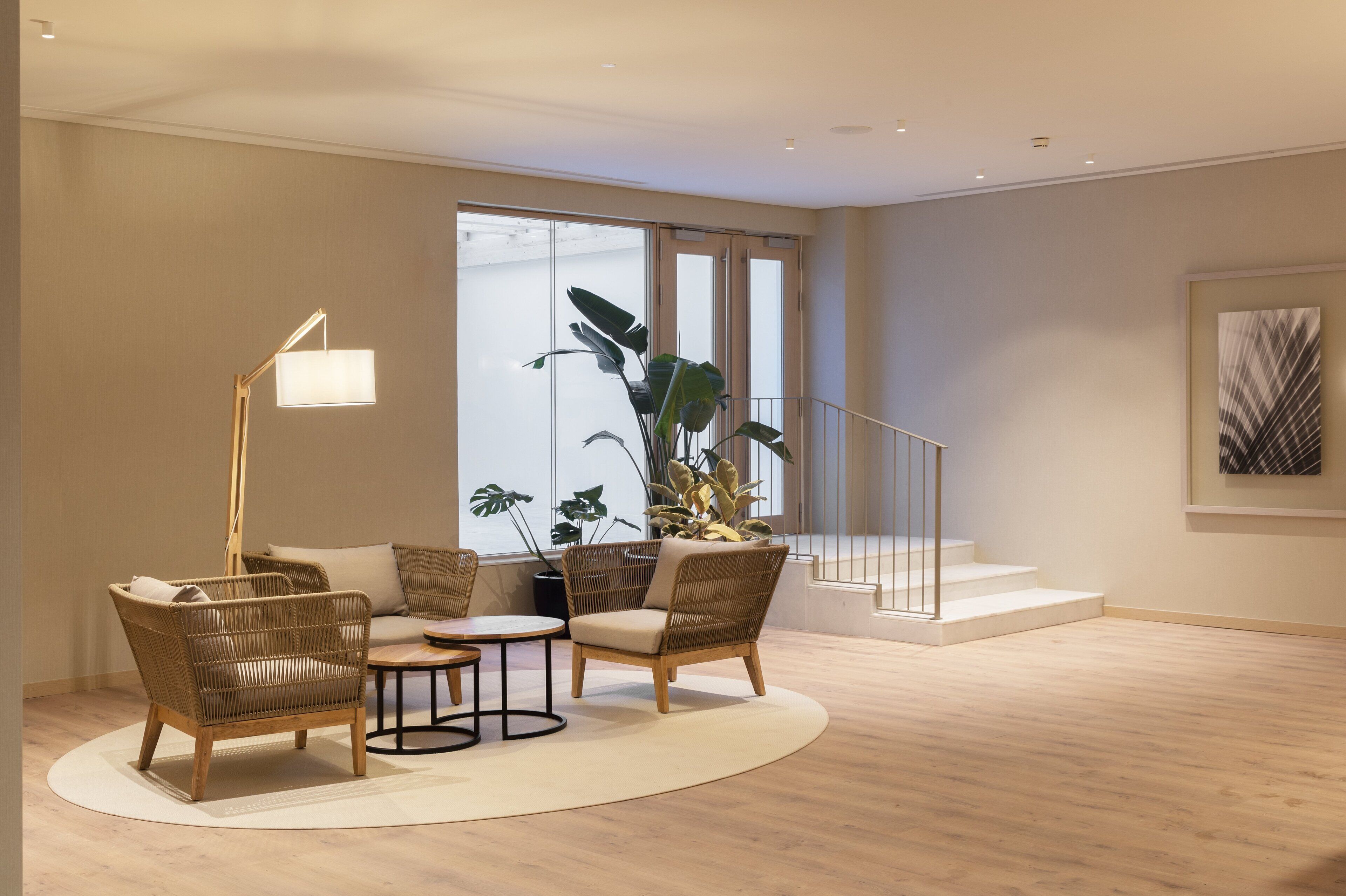 A modern living room with wicker furniture, a round coffee table, and a large potted plant.